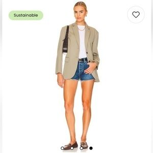 Agolde Parker Blue Raw Hem Button Fly Jean Shorts